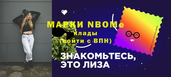 шишки Верея
