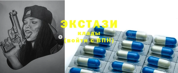 шишки Верея