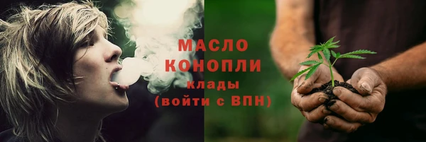 шишки Верея