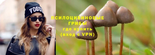 ALPHA PVP Верхний Тагил