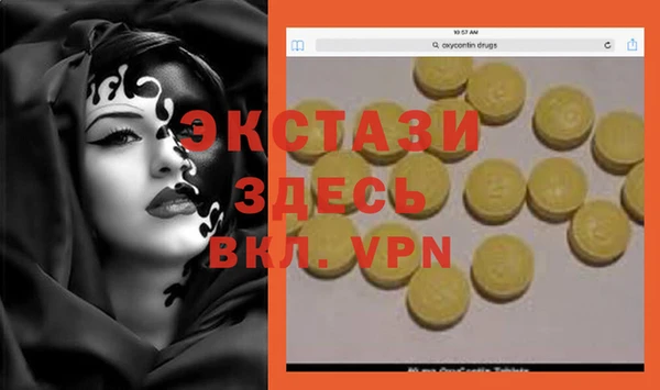 шишки Верея