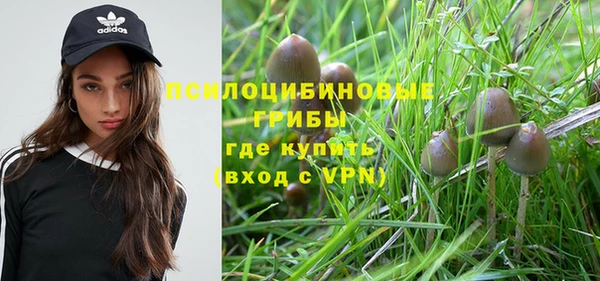 ALPHA PVP Верхний Тагил