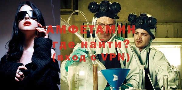 шишки Верея