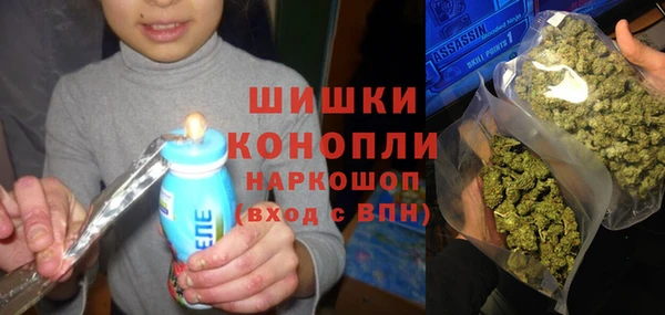 шишки Верея