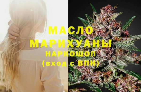 шишки Верея