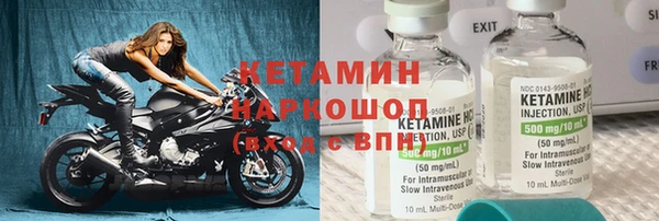 шишки Верея