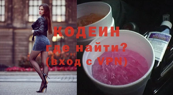 шишки Верея