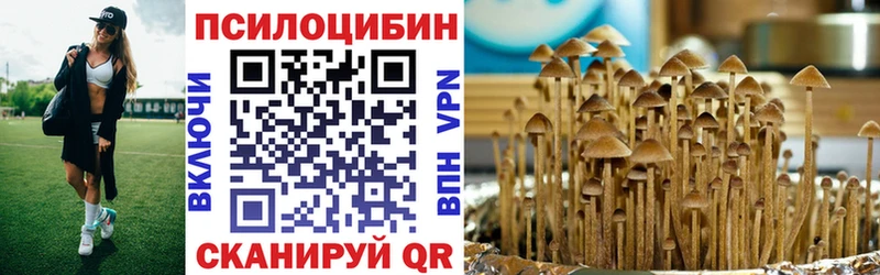 Псилоцибиновые грибы GOLDEN TEACHER  Орехово-Зуево 